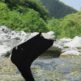 カッパの手