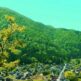 隠密